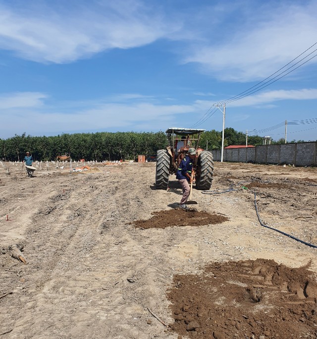 Thi công công tác móng cho khung