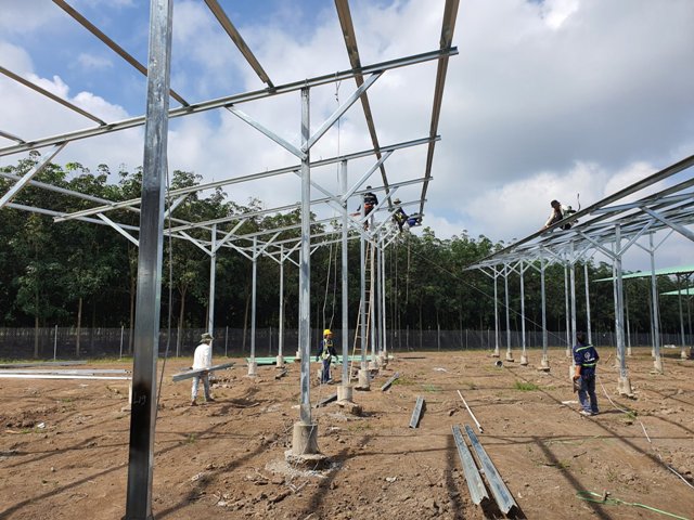 Lắp đặt khung đỡ từ tháng 11/2019