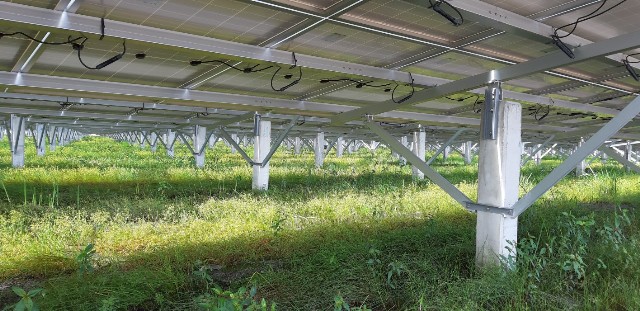 Các tấm pin năng lượng mặt trời nhìn khá đơn giản