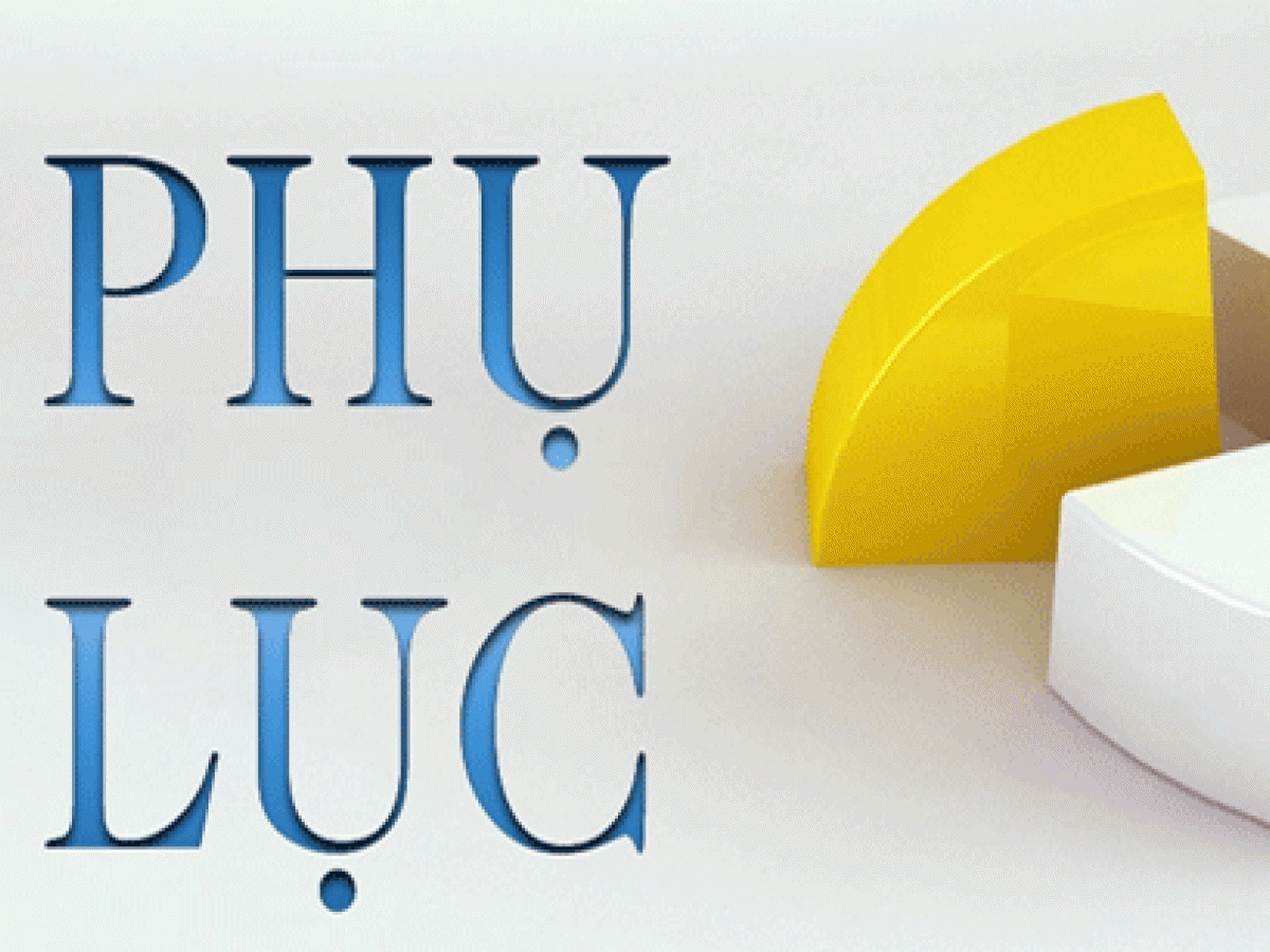 Quy Định (Phụ lục)