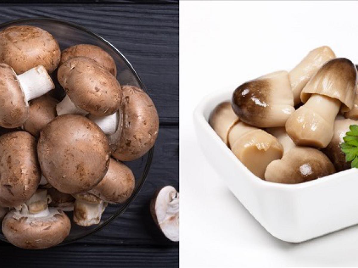 Bí quyết chọn nấm tươi ngon, không chất bảo quản