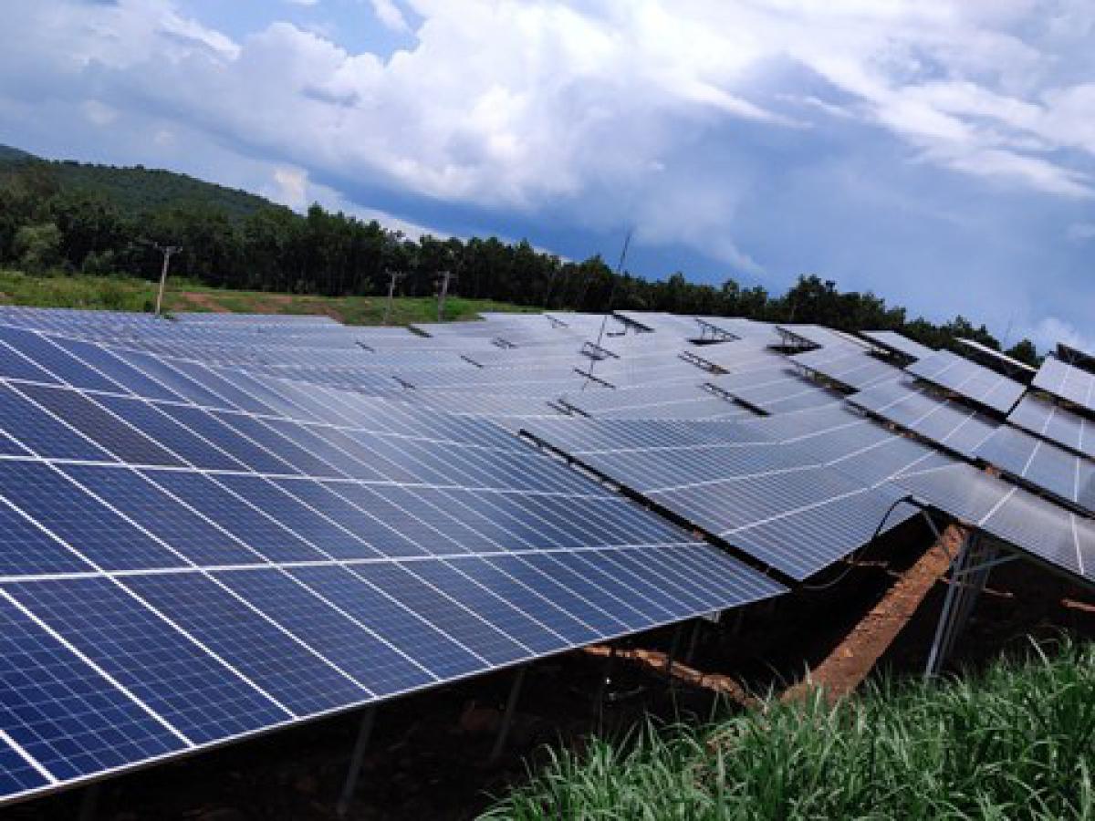 Nông trại điện mặt trời Đồng Xoài