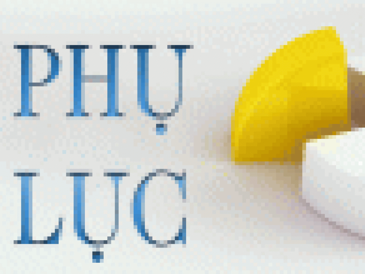 Quy Định (Phụ lục)